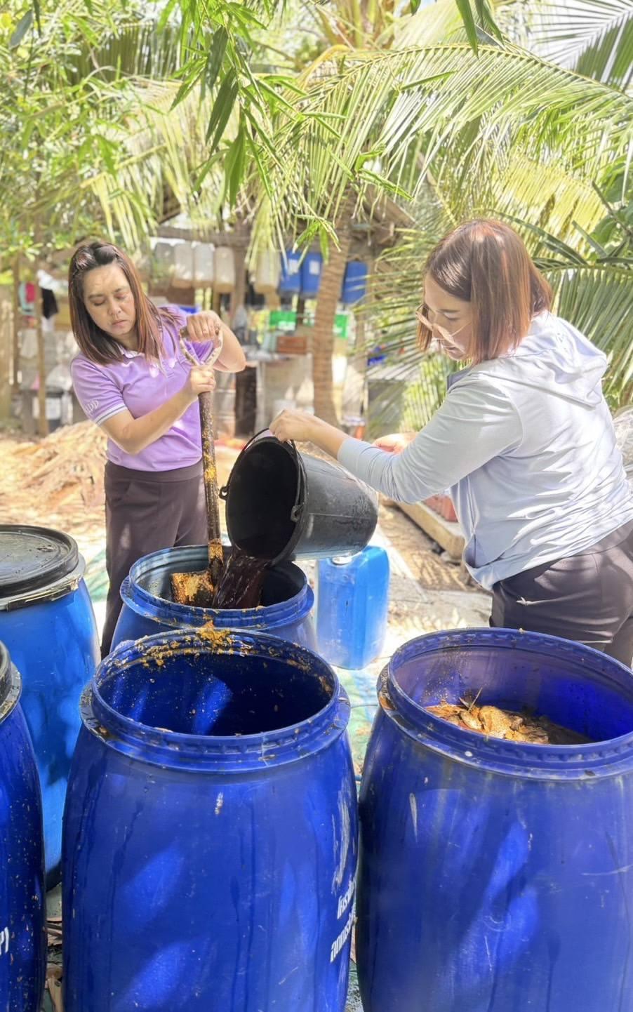 ภาพประกอบที่ 5