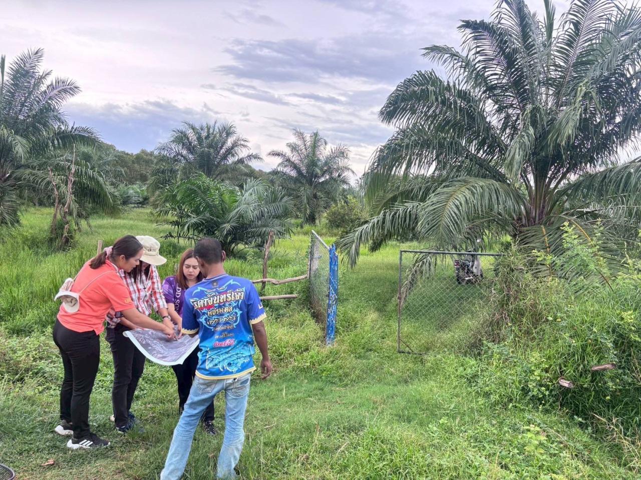 ภาพประกอบที่ 4