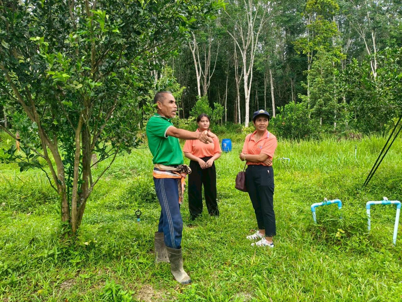 ภาพประกอบที่ 2