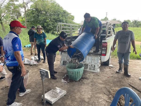 ภาพประกอบที่ 1