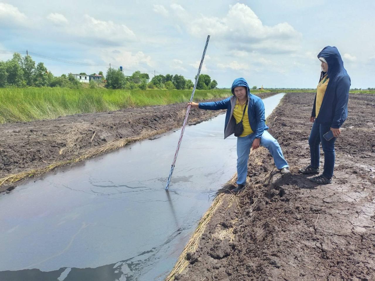 ภาพประกอบที่ 0