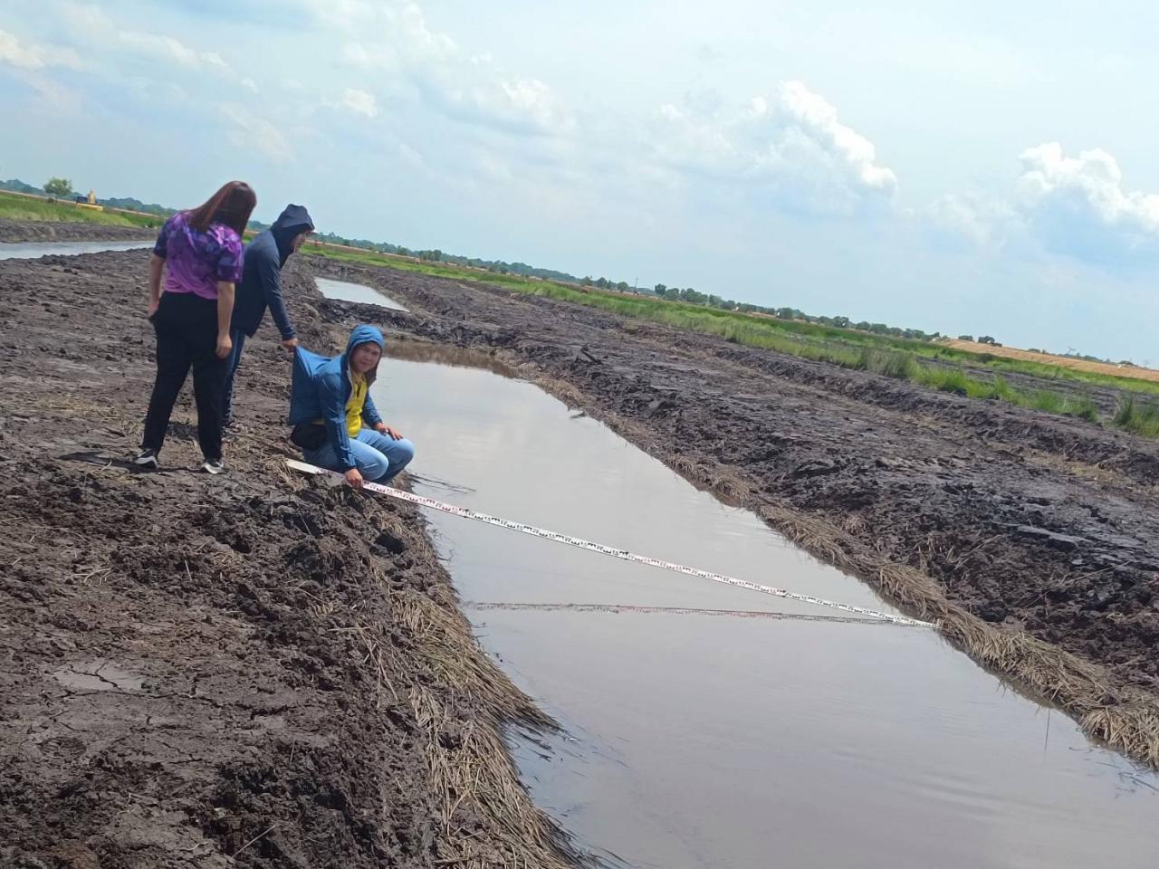 ภาพประกอบที่ 3