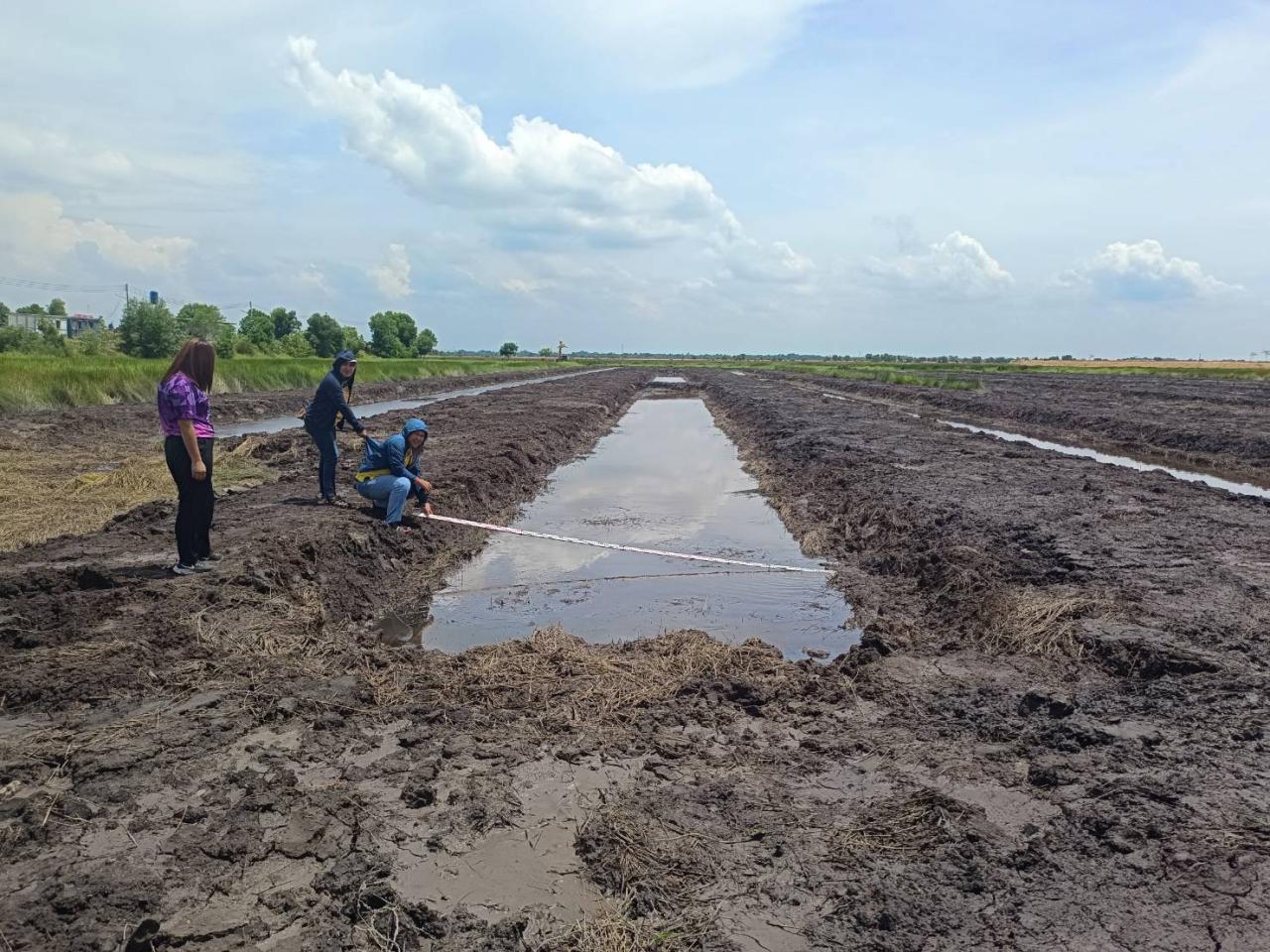 ภาพประกอบที่ 5