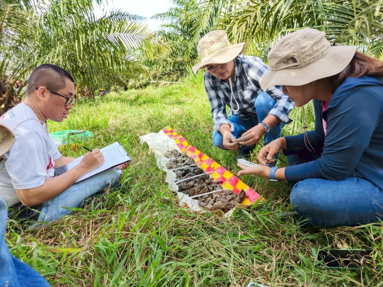 ภาพประกอบที่ 0