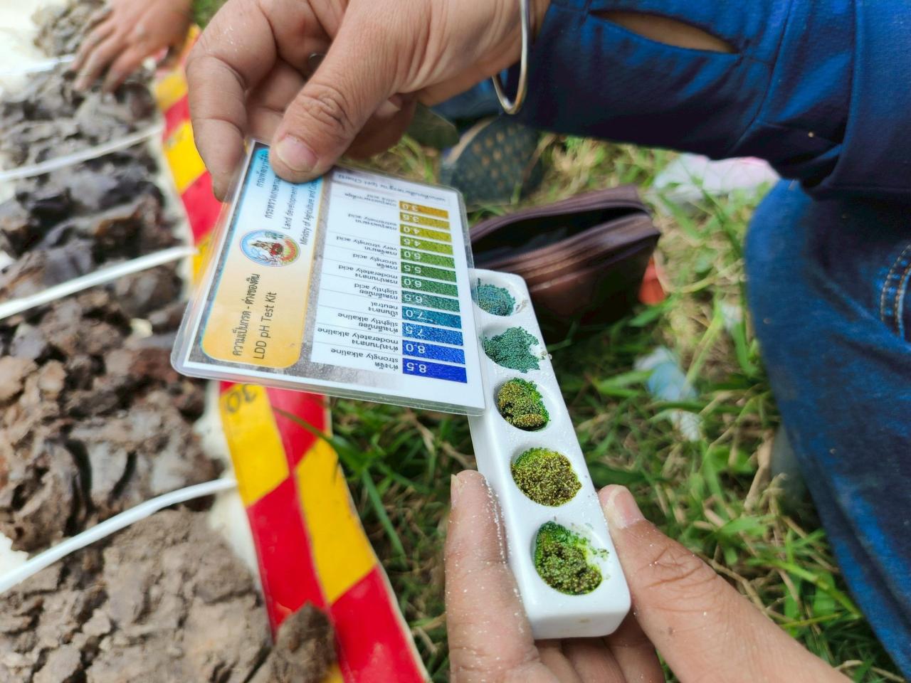 ภาพประกอบที่ 2