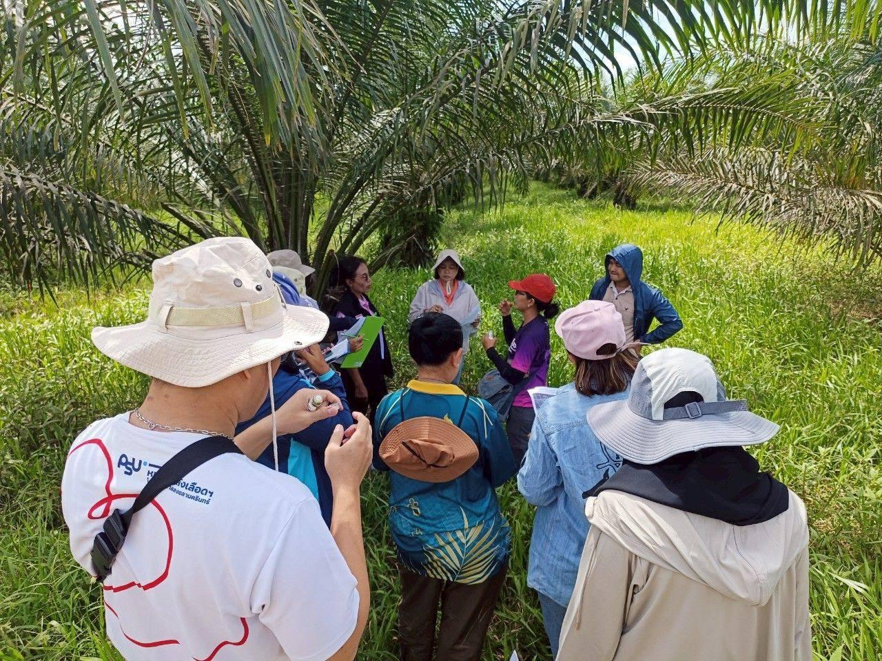 ภาพประกอบที่ 3