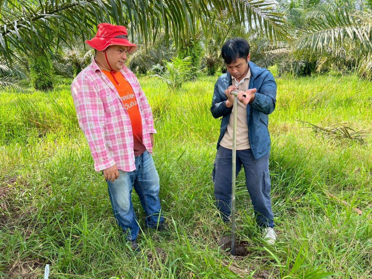 ภาพประกอบที่ 5