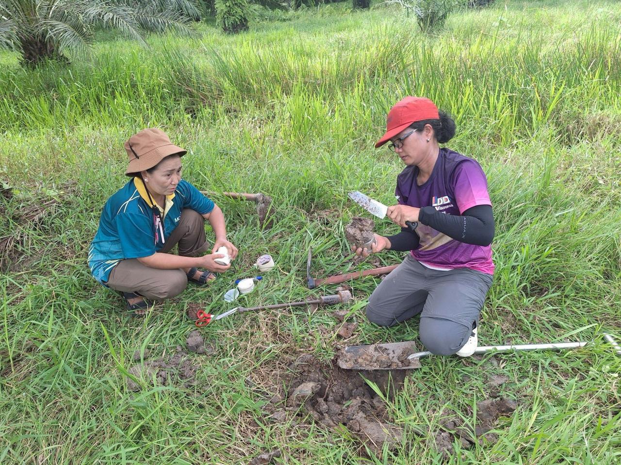 ภาพประกอบที่ 7