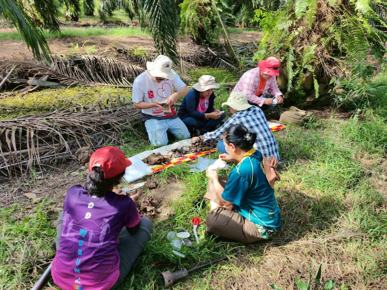 ภาพประกอบที่ 8