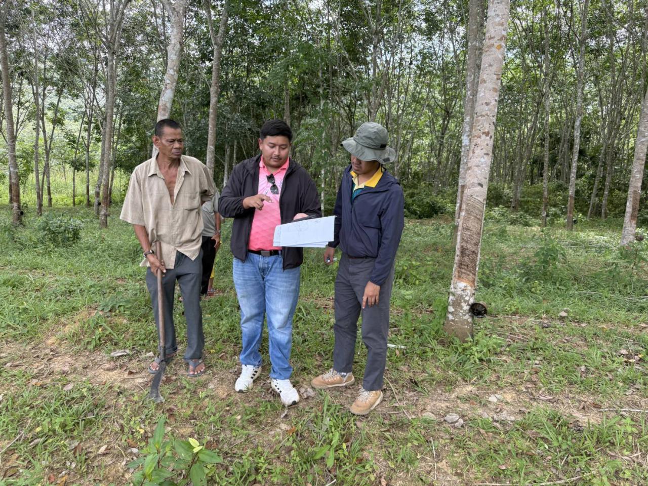 ภาพประกอบที่ 5