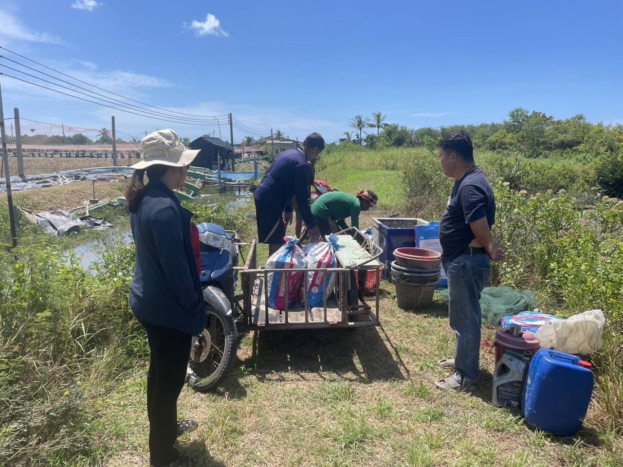 ภาพประกอบที่ 2