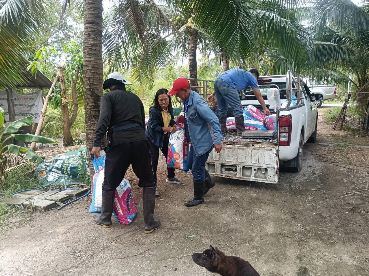 ภาพประกอบที่ 4