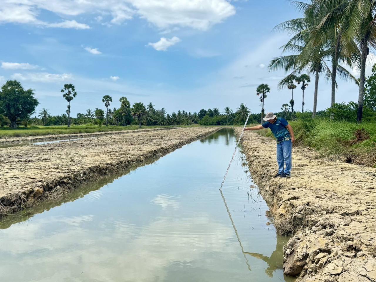 ภาพประกอบที่ 5