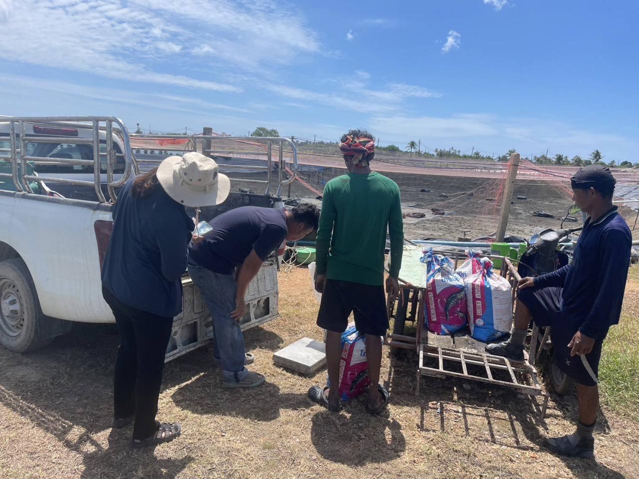 ภาพประกอบที่ 6