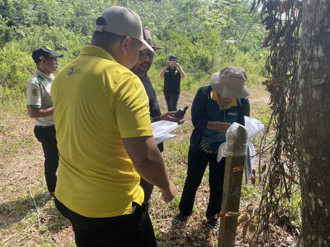 ภาพประกอบที่ 0