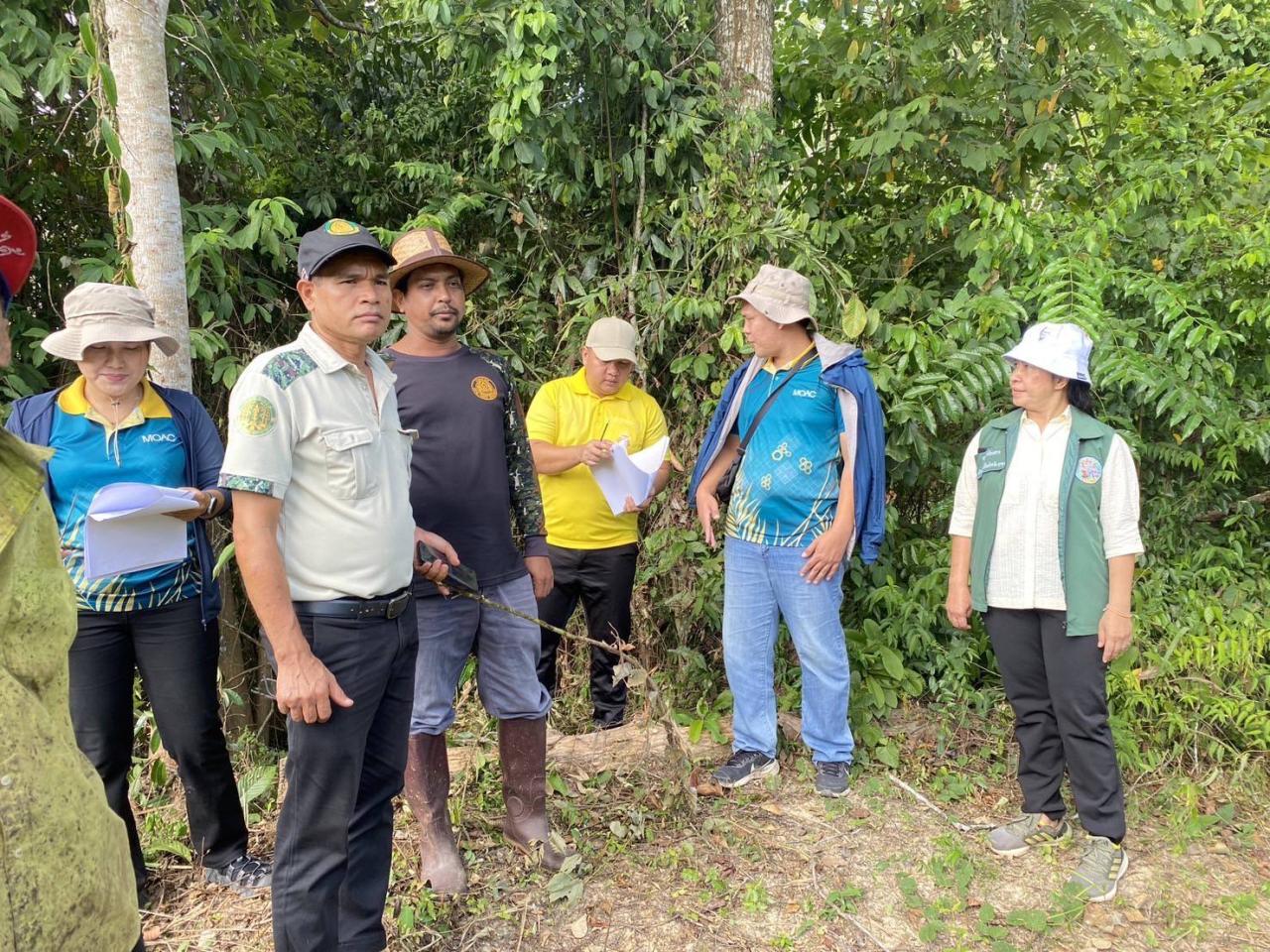 ภาพประกอบที่ 1