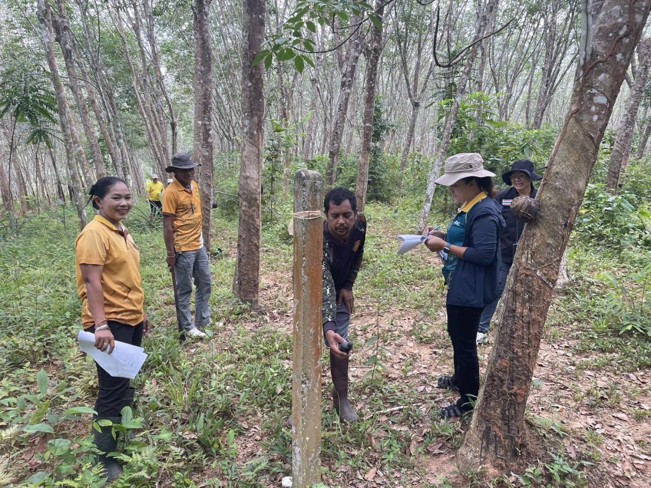 ภาพประกอบที่ 2