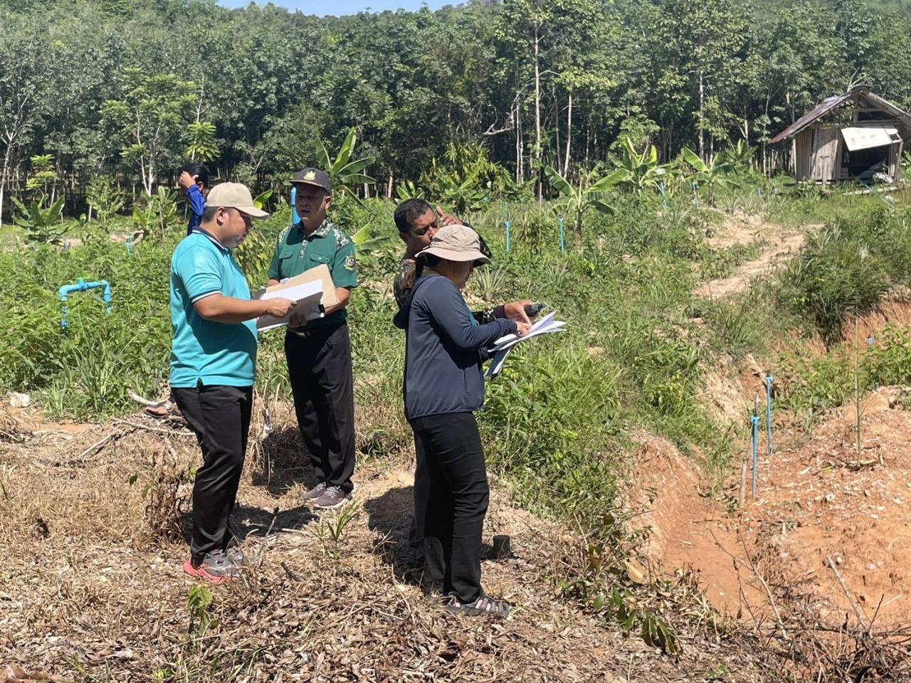 ภาพประกอบที่ 3