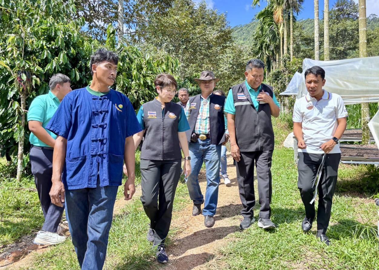 ภาพประกอบที่ 0