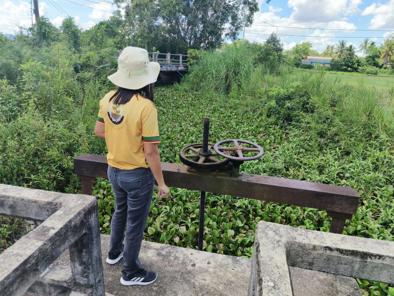 ภาพประกอบที่ 0