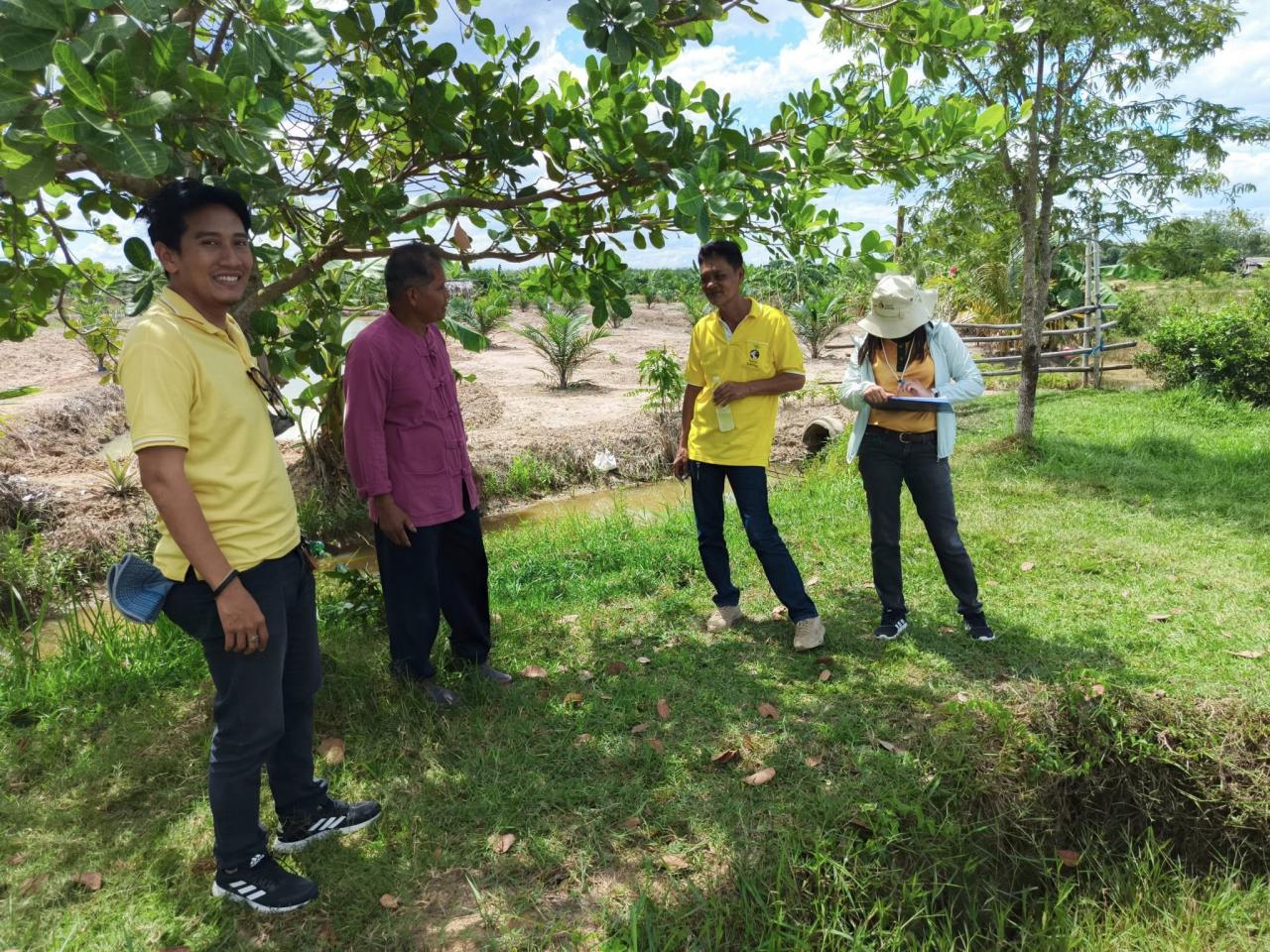 ภาพประกอบที่ 1