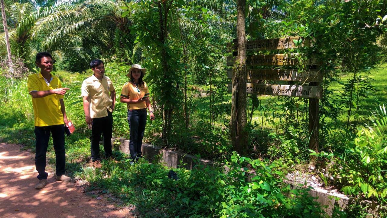 ภาพประกอบที่ 5