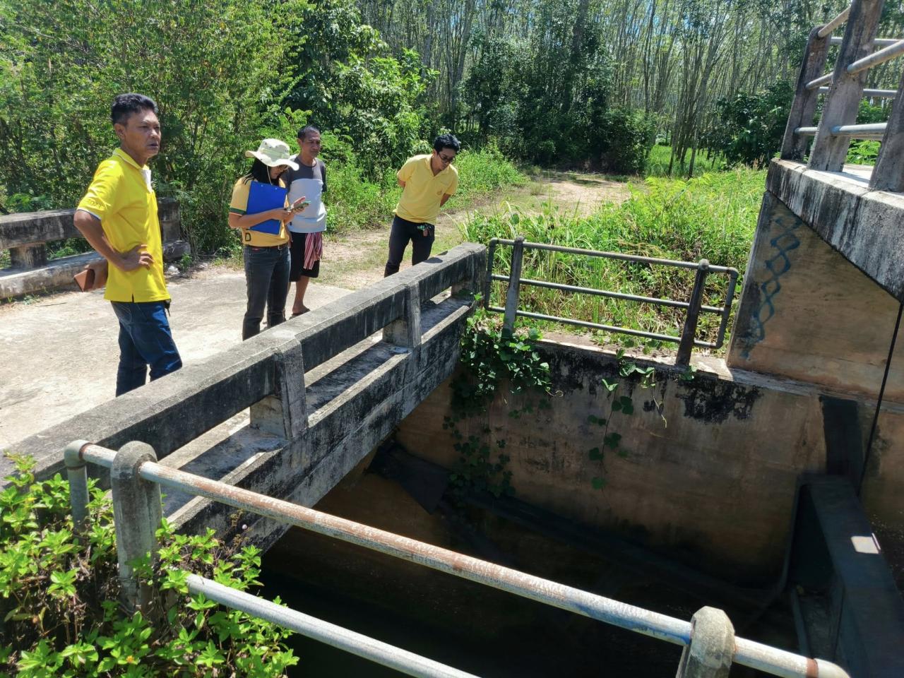 ภาพประกอบที่ 6