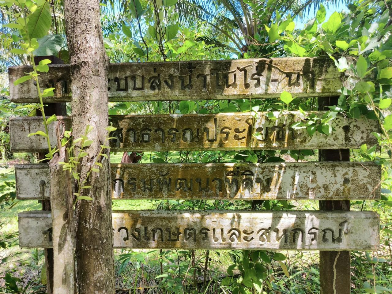 ภาพประกอบที่ 8