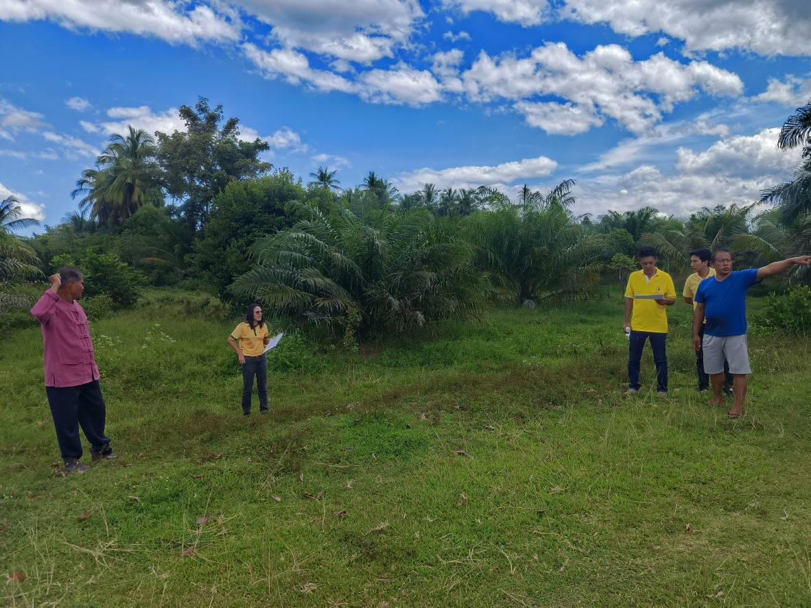 ภาพประกอบที่ 11