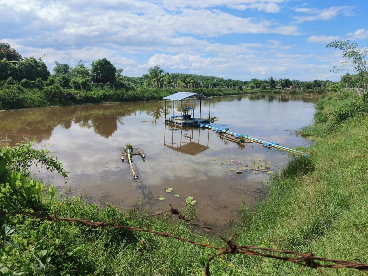 ภาพประกอบที่ 14