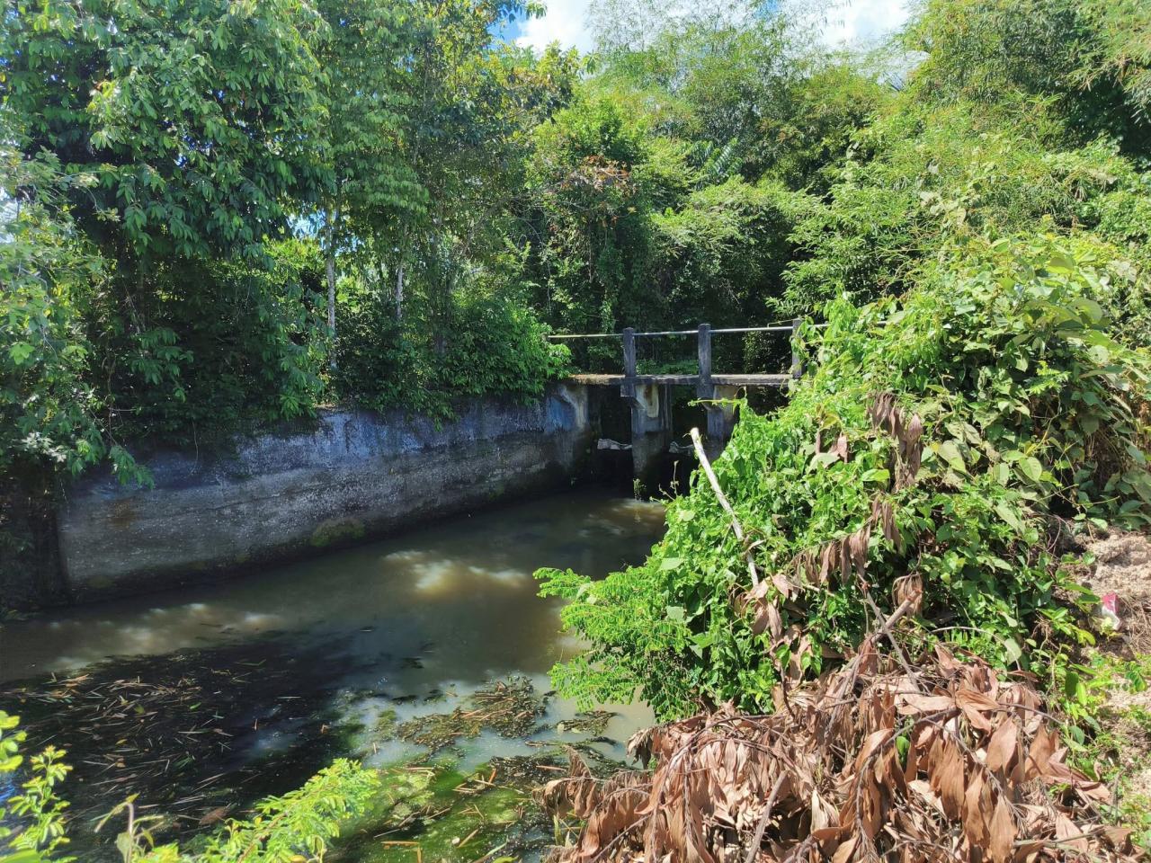 ภาพประกอบที่ 19