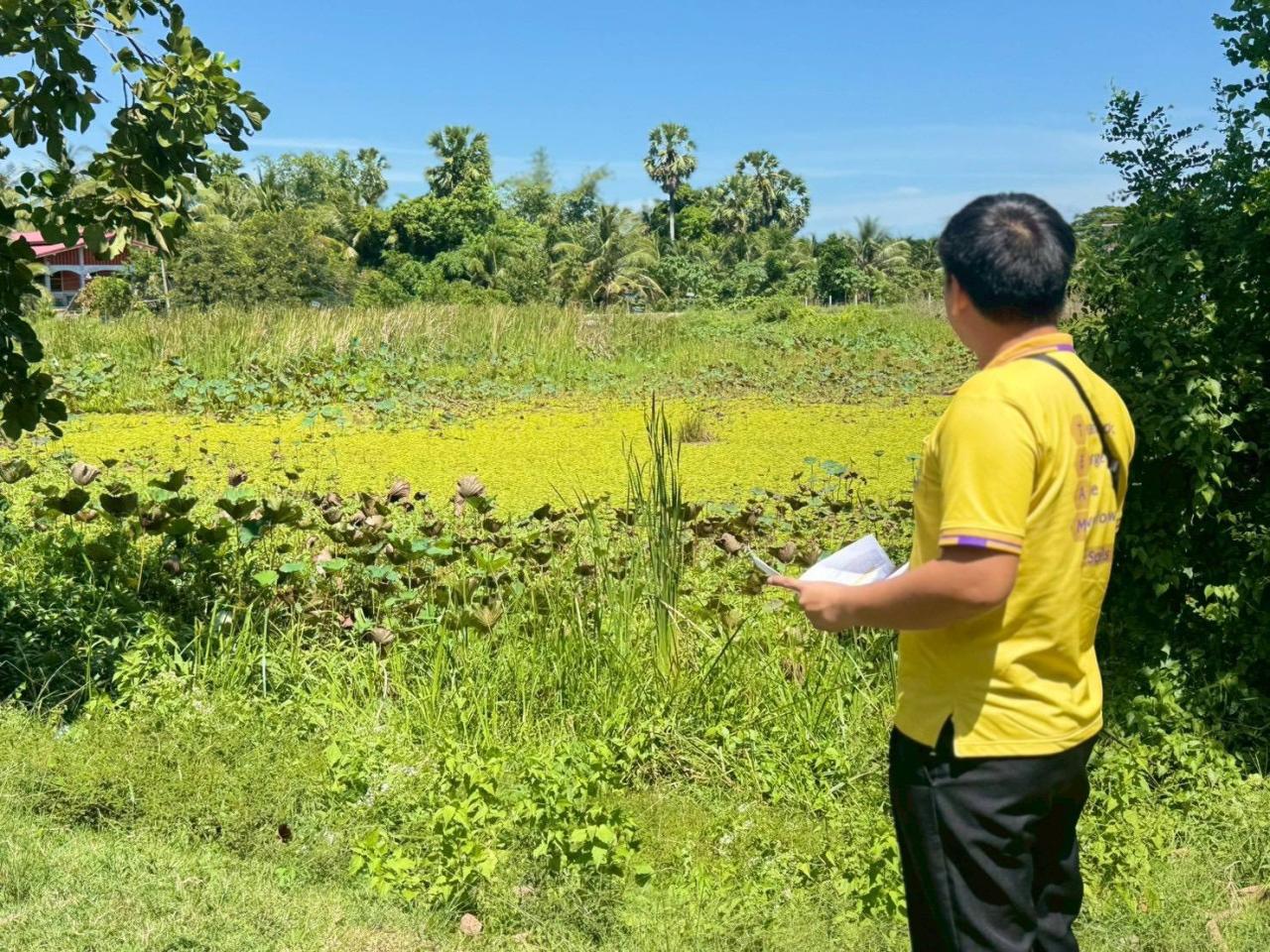 ภาพประกอบที่ 2