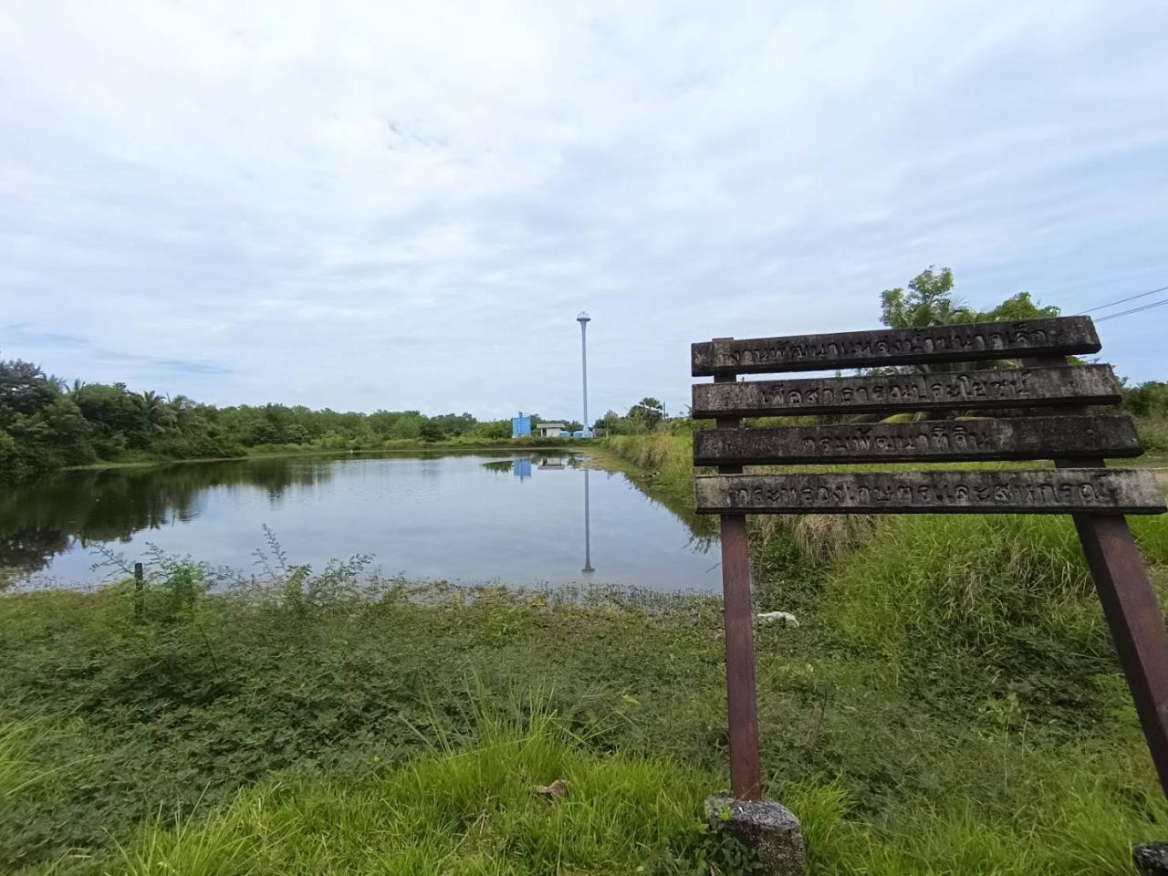 ภาพประกอบที่ 5