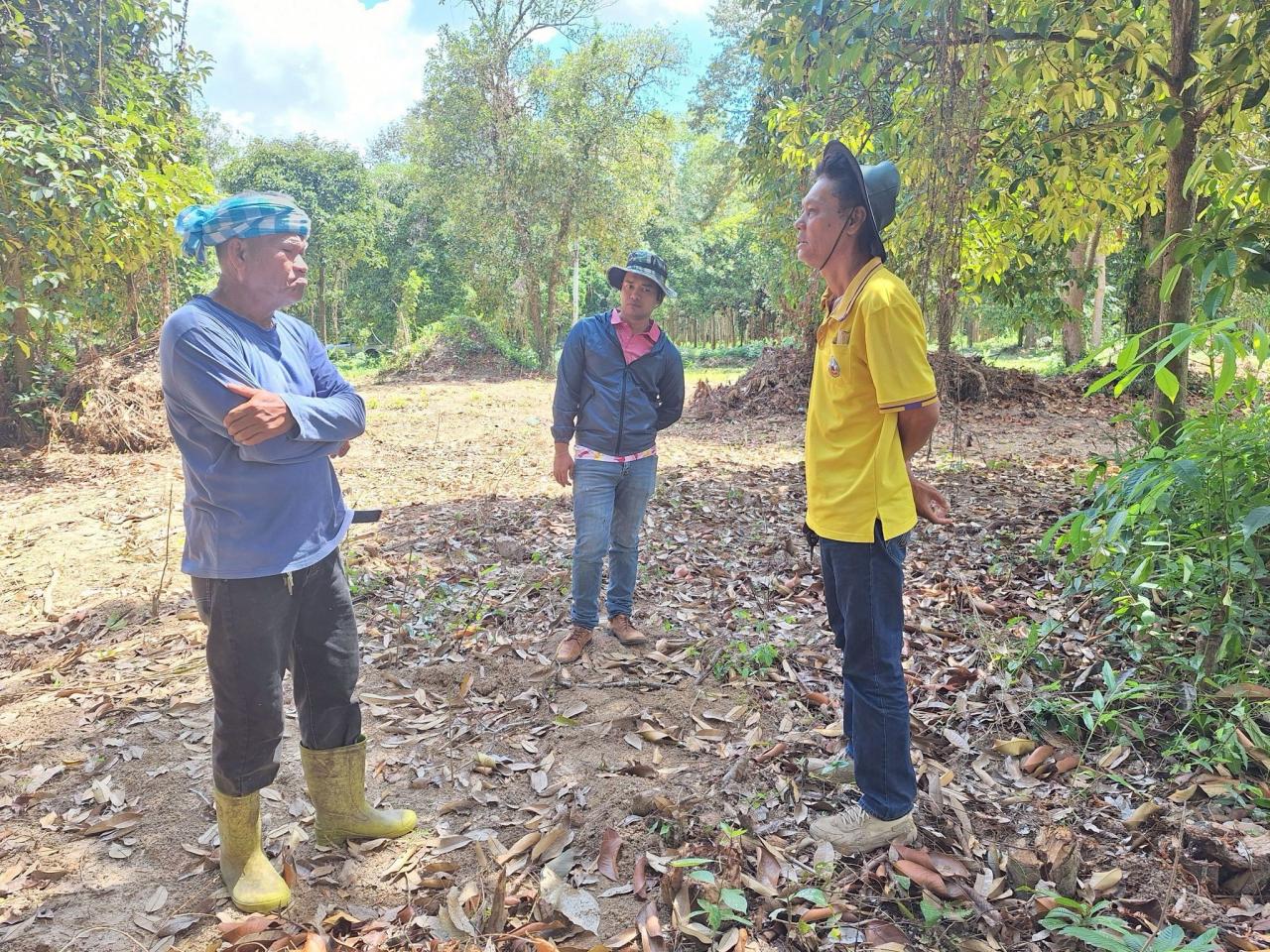 ภาพประกอบที่ 3