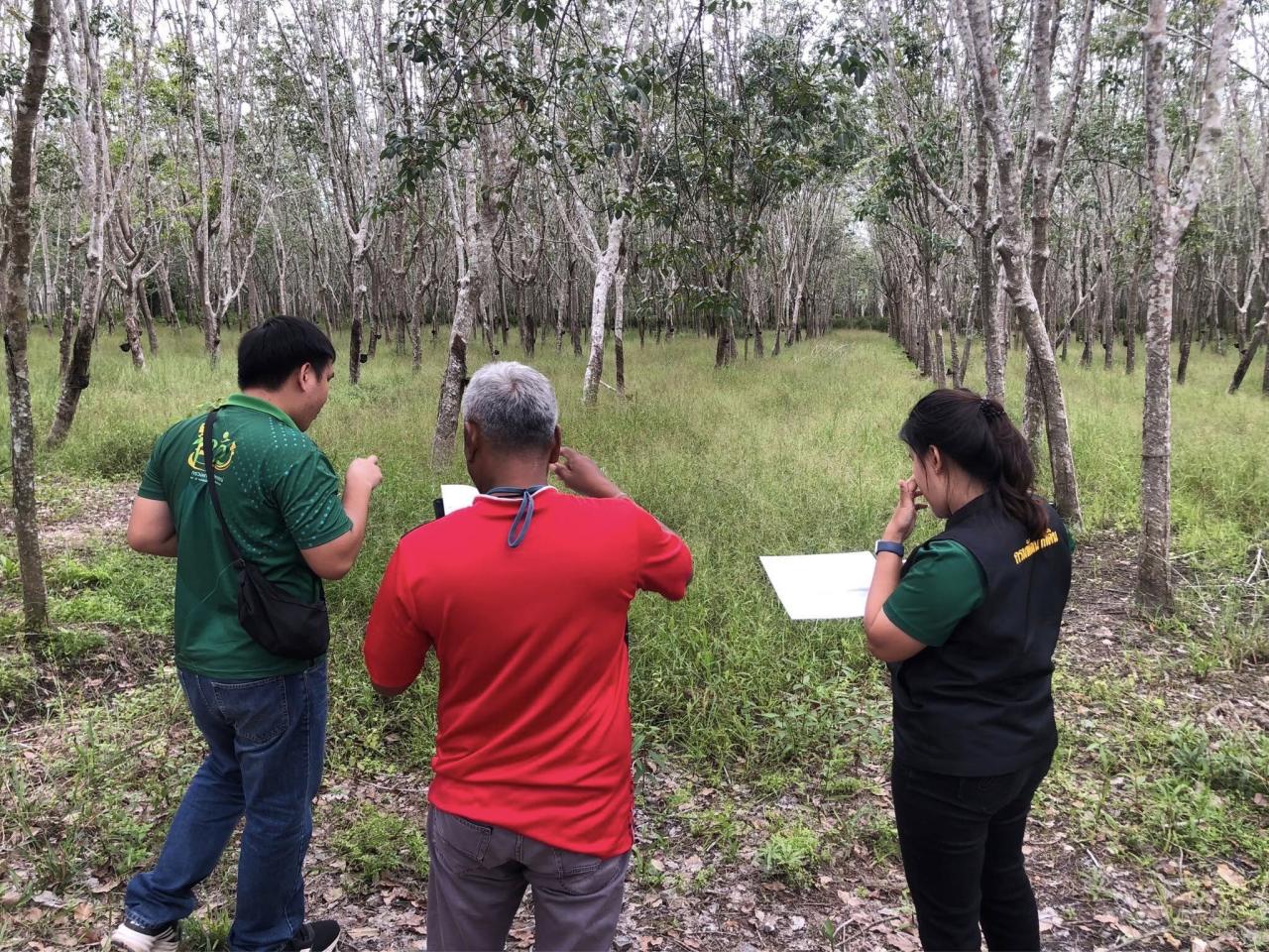 ภาพประกอบที่ 1