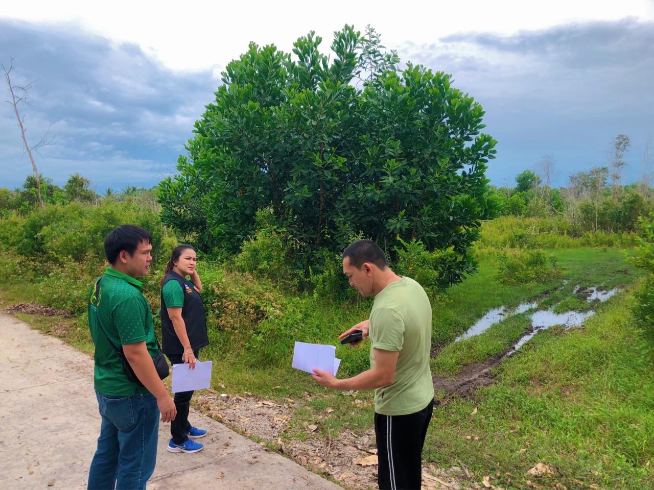 ภาพประกอบที่ 3