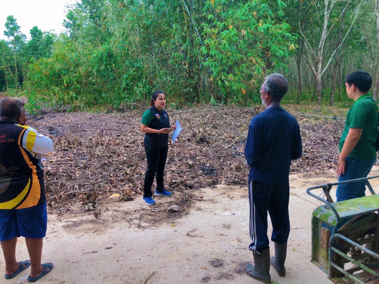 ภาพประกอบที่ 4