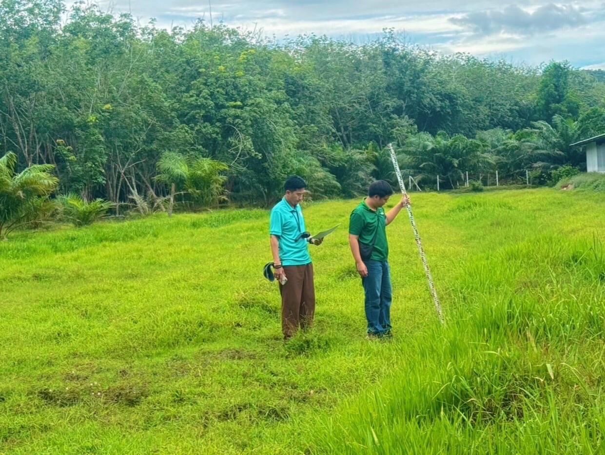 ภาพประกอบที่ 5