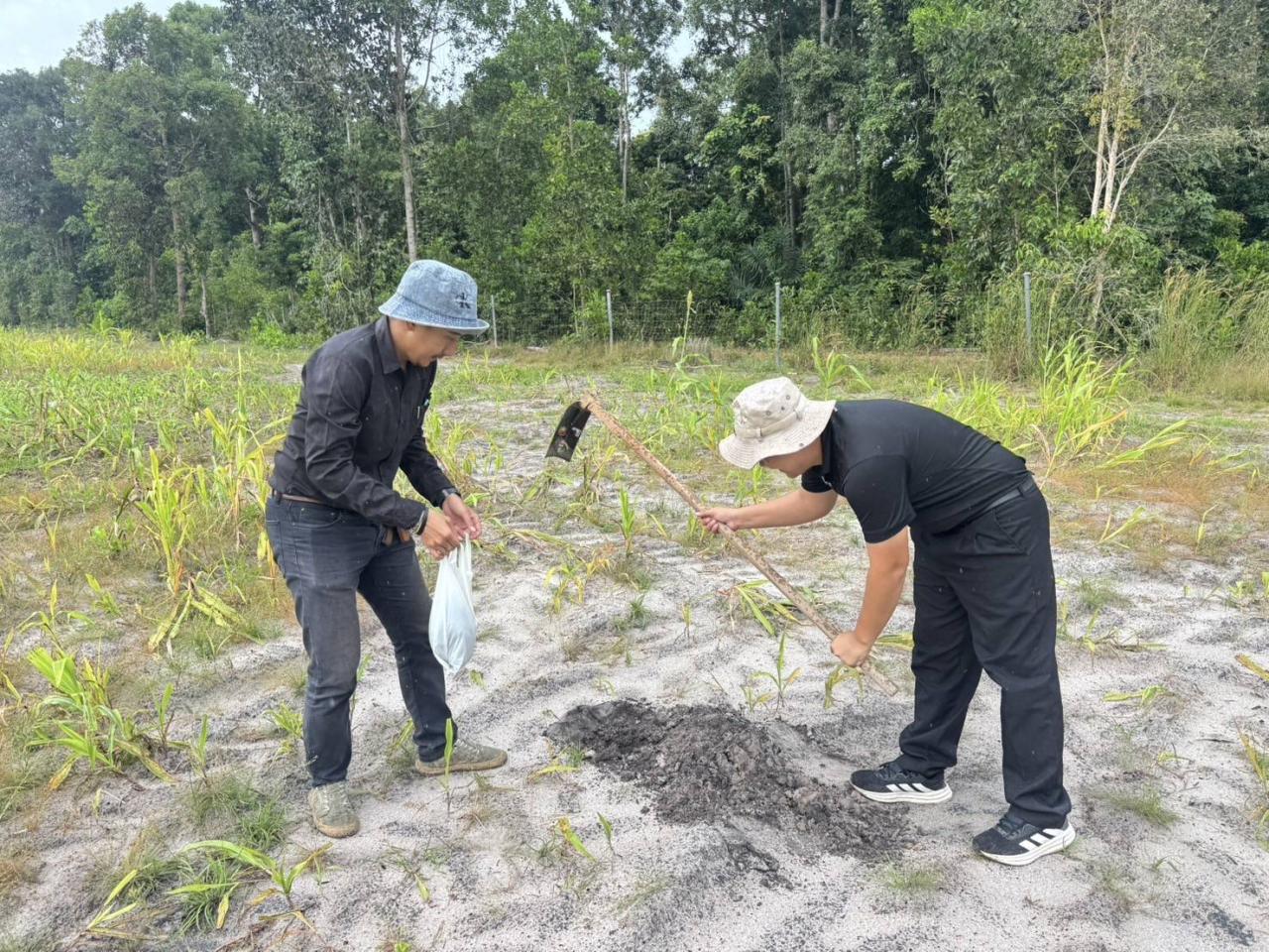 ภาพประกอบที่ 8