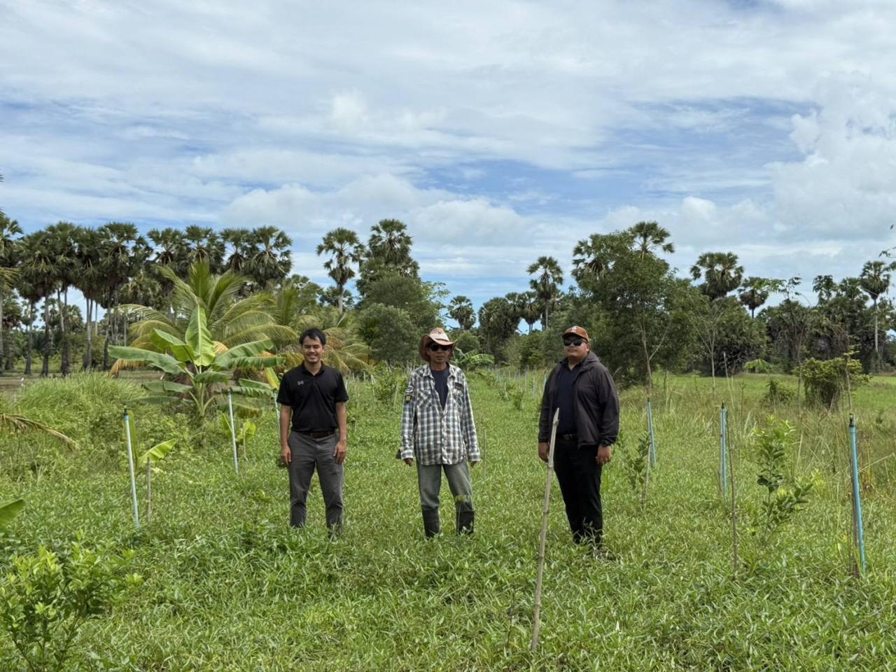 ภาพประกอบที่ 0