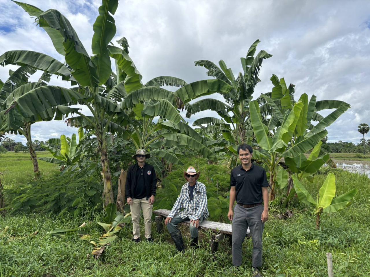 ภาพประกอบที่ 2