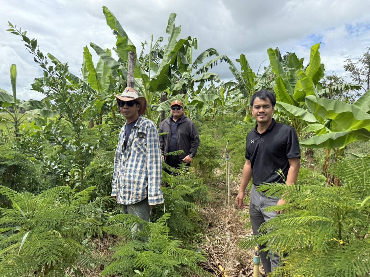 ภาพประกอบที่ 4