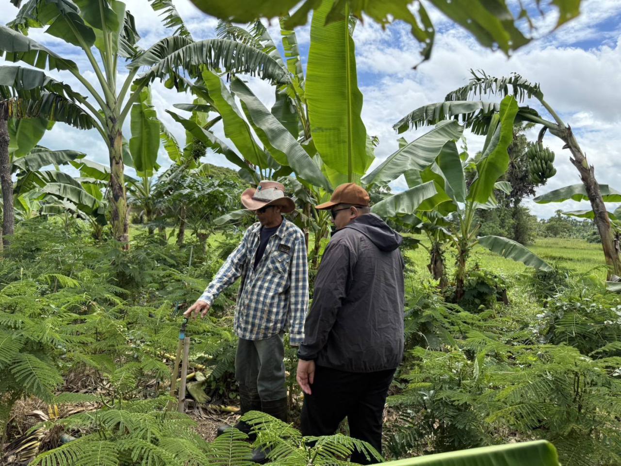 ภาพประกอบที่ 5