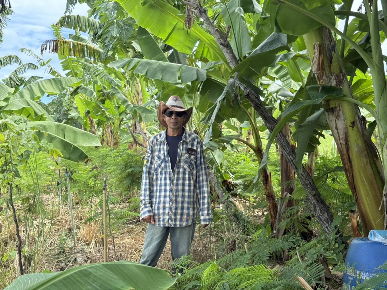 ภาพประกอบที่ 7