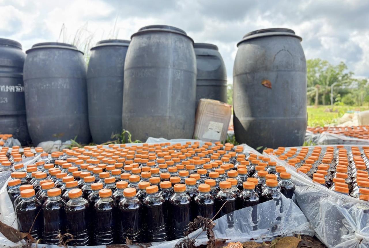 ภาพประกอบที่ 2