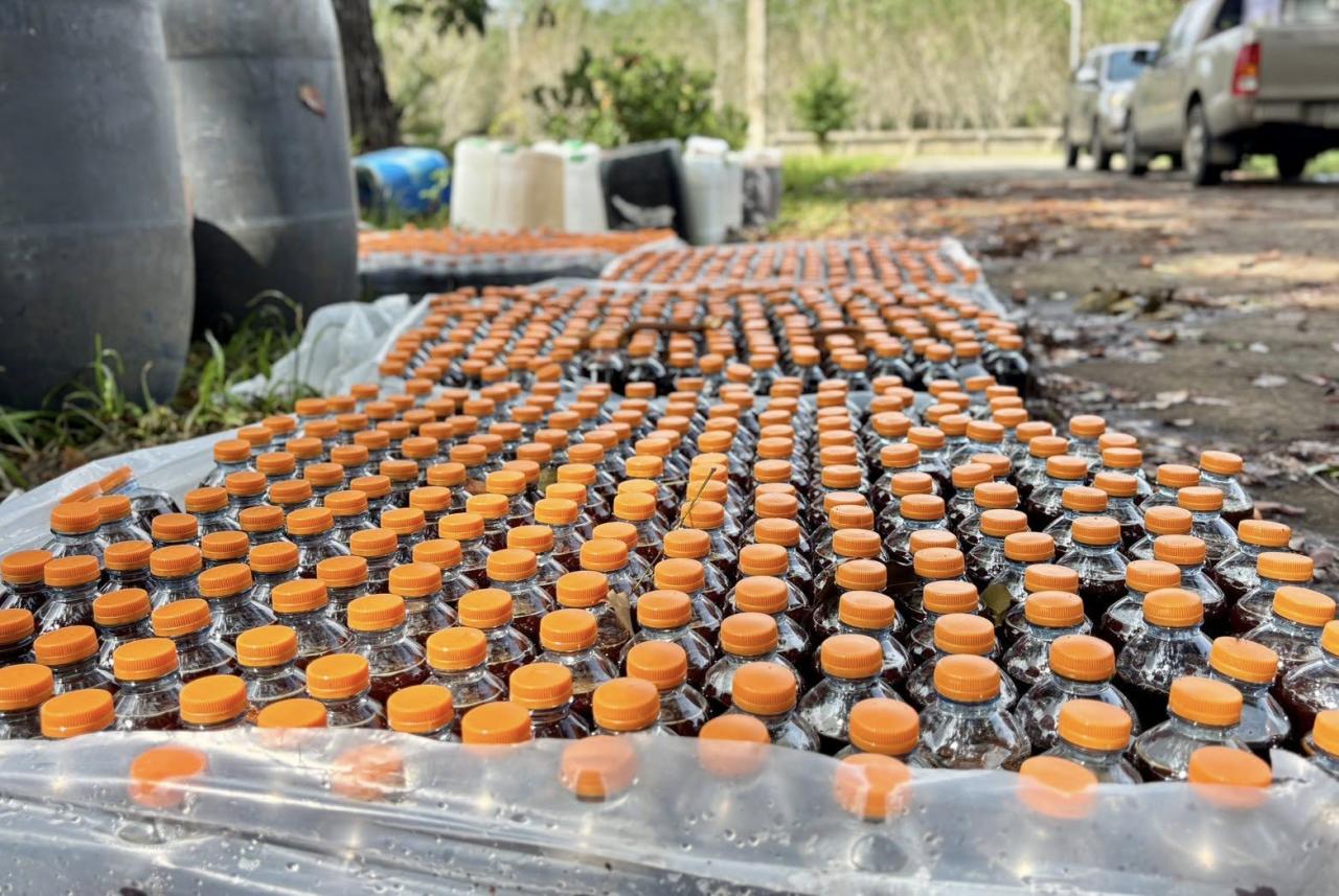 ภาพประกอบที่ 5