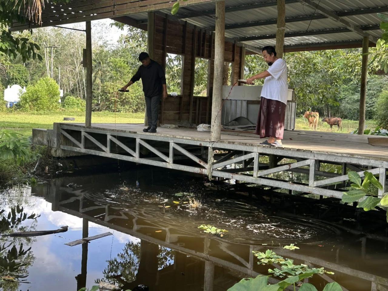 ภาพประกอบที่ 4