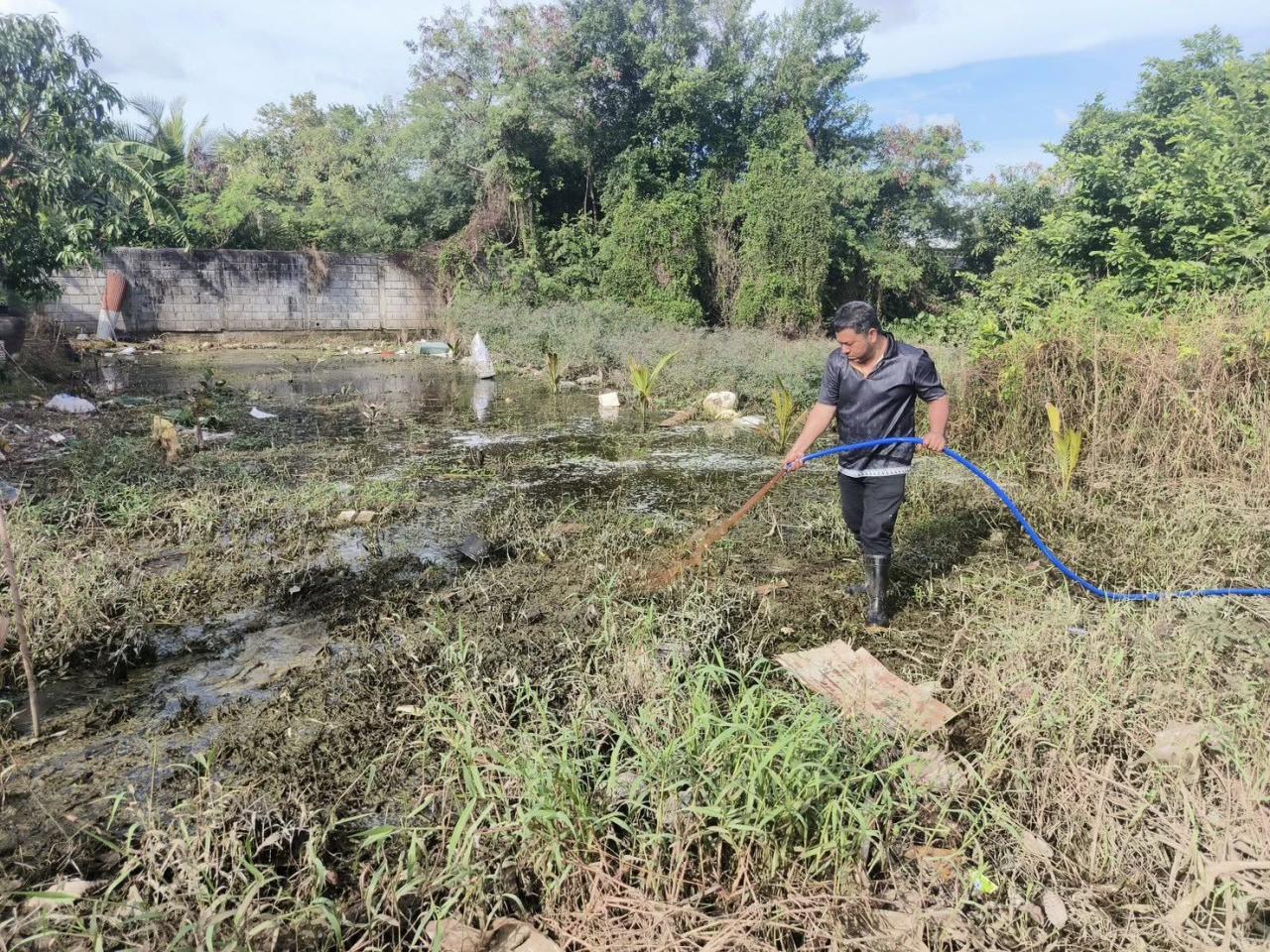 ภาพประกอบที่ 1
