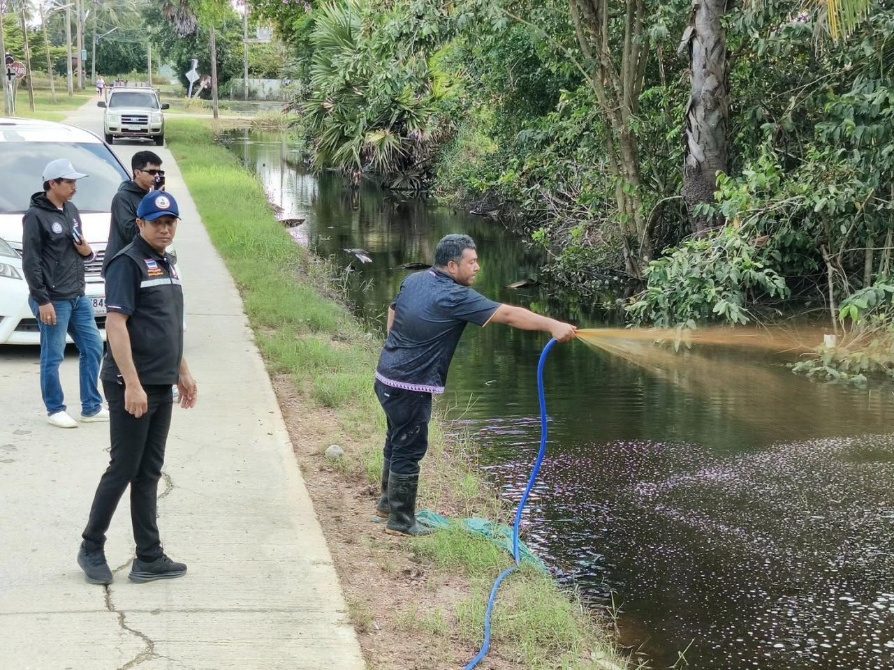 ภาพประกอบที่ 8