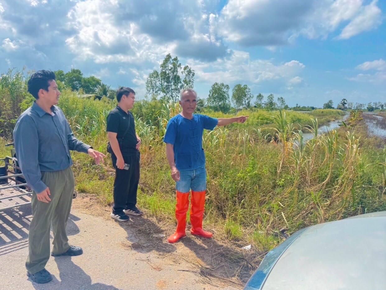 ภาพประกอบที่ 1